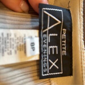 Alex Evenings Petite Gown in Cream